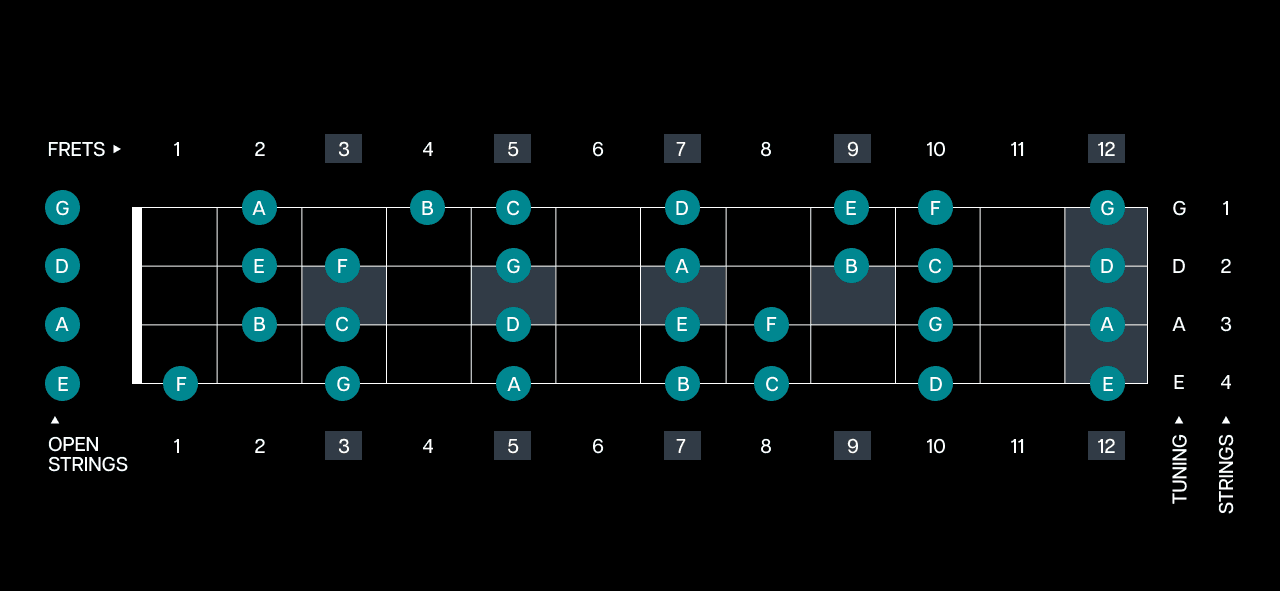 bass-fretboard-natural-notes-4-strings.png