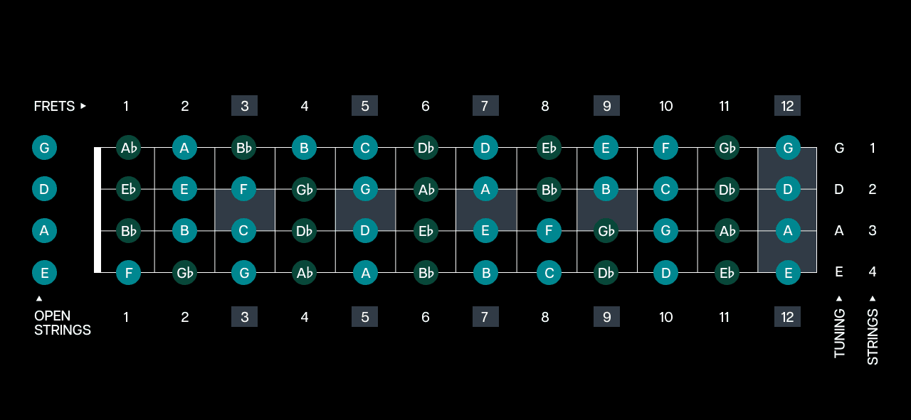 full-fretboard-bass-diagram.png